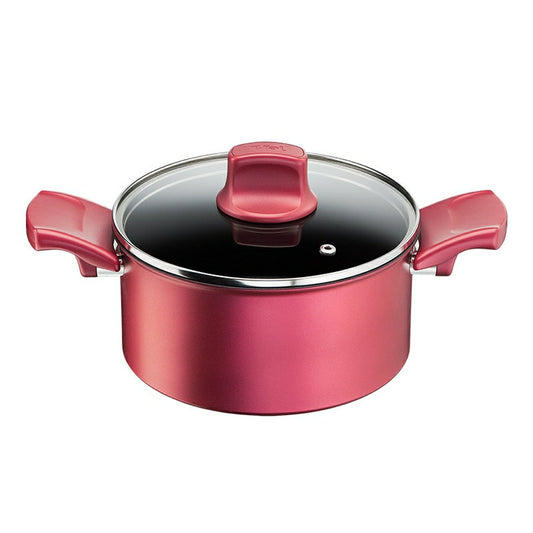 UNLIMITED 2X Rouge Stew Pot 20cm G26244 - imy Shop Japan