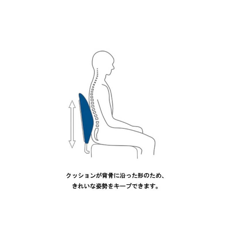 Lumbar Support Cushion 137199 - imy Shop Japan
