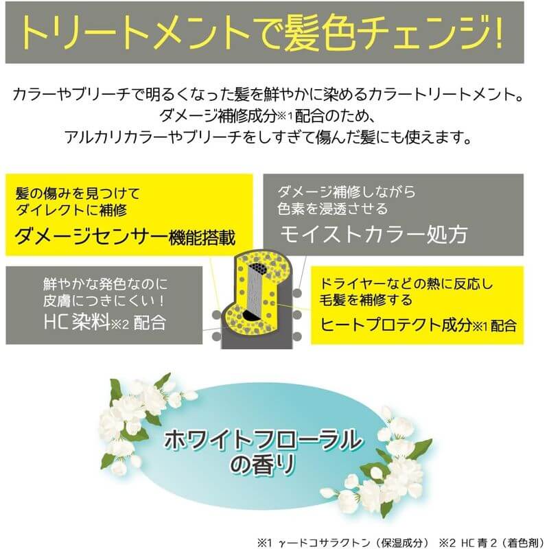 Color Treatment 500g