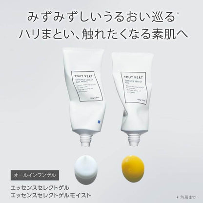 All-in-one ESSENCE SERECT GEL 100g