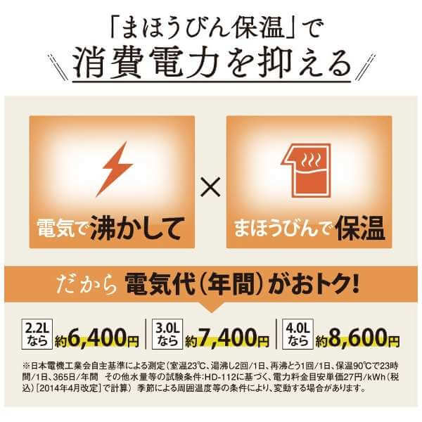 VE Electric Thermos Bottle CV-GC - imy Shop Japan