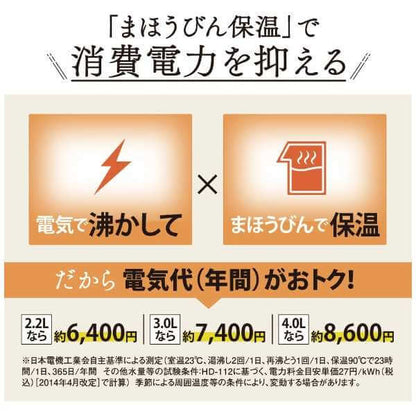 VE Electric Thermos Bottle CV-GC - imy Shop Japan