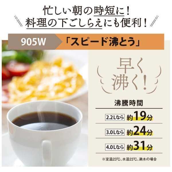 VE Electric Thermos Bottle CV-GC - imy Shop Japan