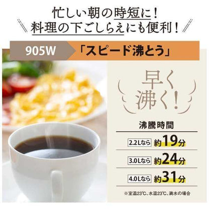 VE Electric Thermos Bottle CV-GC - imy Shop Japan