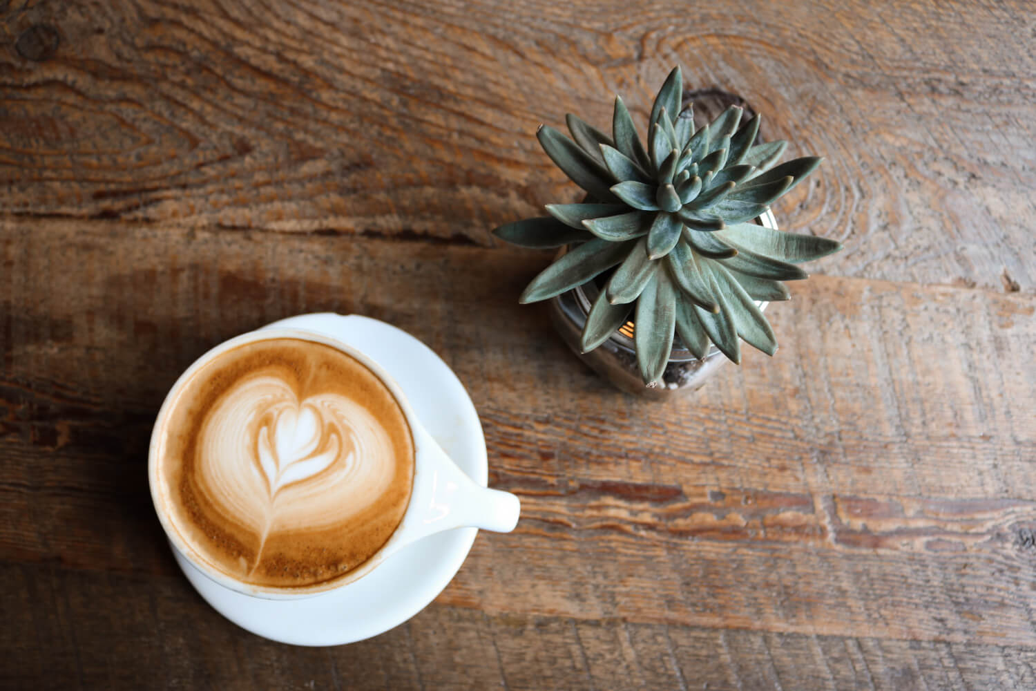 Brunopasso Semi-Automatic Espresso Machine TH-W030 - imy Shop Japan